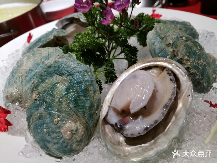 汤呈逸品(新天地店)翡翠鲍图片