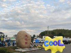 -特克斯八卦城