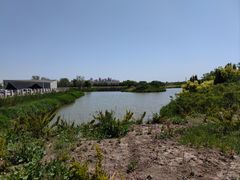 -塘沽森林公园