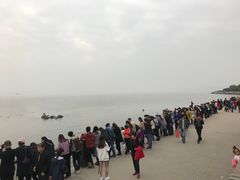 -若蘭慈·无国界素食料理(欢乐海岸店)