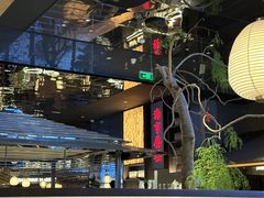 -桂满陇·海市蜃楼·黑金(国金店)