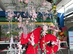 -荷兰花海