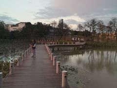 -长洲岛