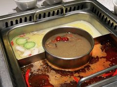 -巴奴毛肚火锅(大剧院店)