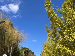 -JUST HOT佳禾欧包(大学城店)