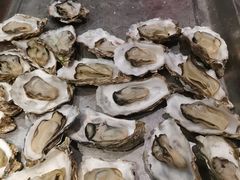 海蛎子-鼎香缘海鲜自助火锅烤肉(锦辉购物广场店)