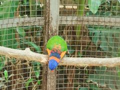 -大连森林动物园