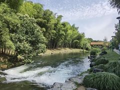 -杭州植物园