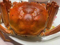 清蒸大闸蟹-蟹榭·本帮江浙菜·蟹宴(五角场合生汇商场店)