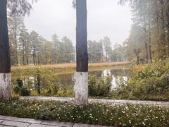 -东湖落雁景区