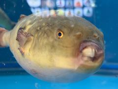 -阳光海鲜城(太仓万达店)