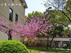 -上海财经大学(国定路校区)