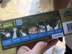 -将军关探险漂流