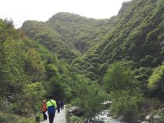 -少华山国家森林公园