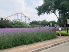 -雀儿山公园