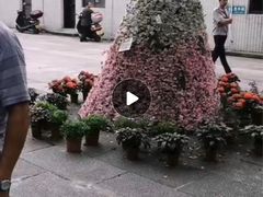 -李小龙乐园(顺德均安店)