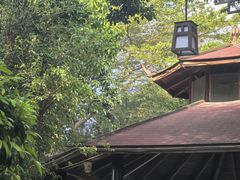 -金穗园温泉酒店