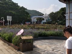 -玫瑰海岸文化旅游度假区