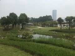 -海珠儿童公园