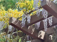 -梁鸿国家湿地公园