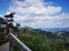 -大岭沟猕猴桃谷风景区