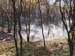 -帽儿山风景区