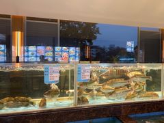 -盆满钵满·国家非遗传承(云台店)