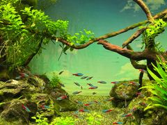 -沈阳海洋探索中心