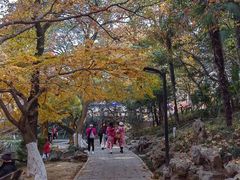 -虞山风景区