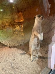 -酷嗒动物文化乐园(cutezoo西溪乐天城店)