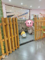 -Moni星球萌宠·小马宝莉·灵蛇·高端高阶全萌宠互动体验俱乐部(红豆国际广场店)