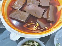 -白乐天毛肚火锅馆(南滨路店)