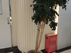 -泰康拜博口腔医院(海曙店)