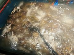 -星伦多自助料理(华润万象城店)