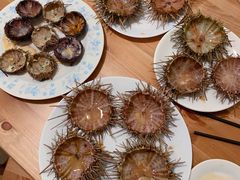 -海胆小馆(东北水饺·春柳店)