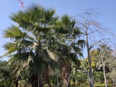 -广东花都香草世界旅游度假区
