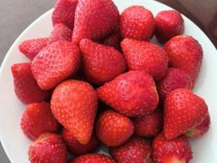 -甜心庄园·甜心草莓采摘园(西青中北店)