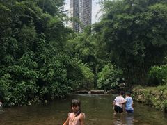 -重庆彩云湖湿地公园