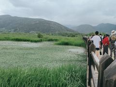 -泸沽湖国家级风景名胜区走婚桥