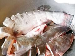 -老刘生态大鱼坊铁锅炖鱼(赛马场店)