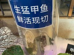 -青岛蓝海御华大饭店（金沙滩店）·蓝钻国际美食自助百汇