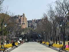 -新江湾城公园