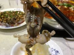 -靓蛙馆