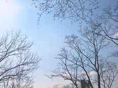 -帽儿山风景区