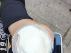 -洪馨椰子
