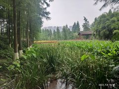 -重庆彩云湖湿地公园