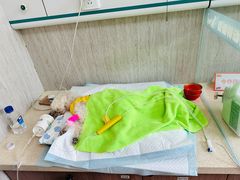 -爱派特动物医院·全科诊疗中心