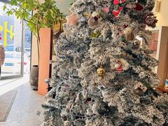 -长春藤咖啡(北园店)