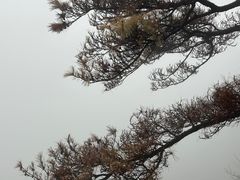 -浙北大峡谷