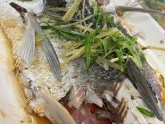 -开心农家菜